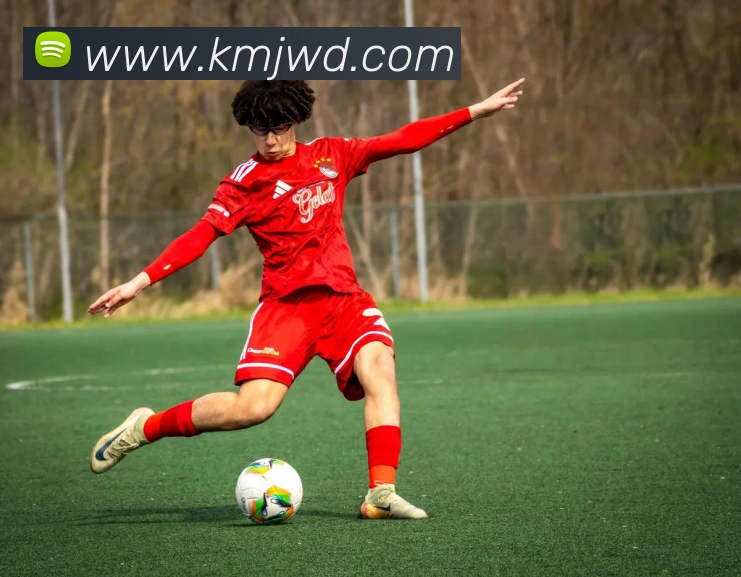 问鼎28品牌故事