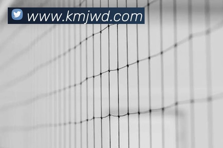 问鼎28服务体系